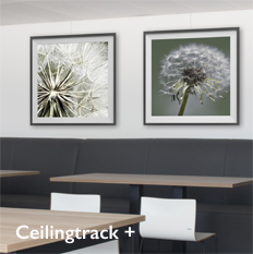 Shades Ceilingtrack Picture Hanging System